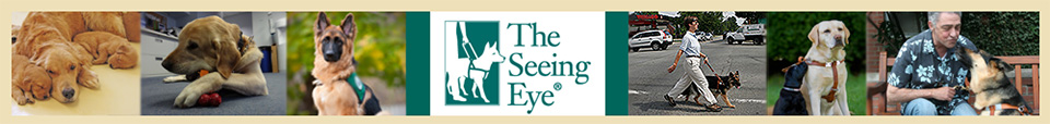 Seeing Eye, Inc. Website Header Image